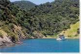 Deep Water Cove, Bay of Islands