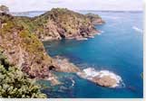 Roberton Island, Bay of Islands