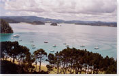 Roberton Island, Bay of Islands